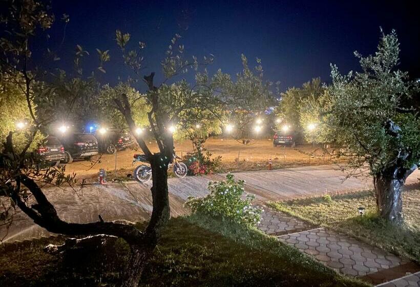 פנסיון Aria Guest House