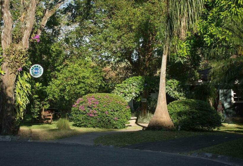 Airport Costa Rica B&b