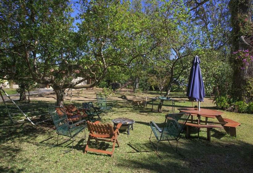 Airport Costa Rica B&b