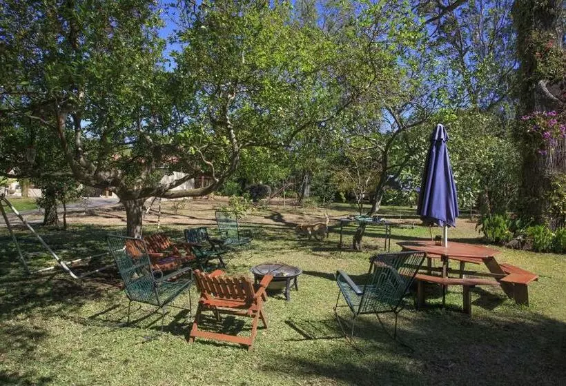 Airport Costa Rica B&b