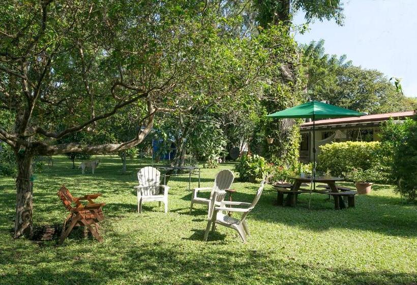 Airport Costa Rica B&b