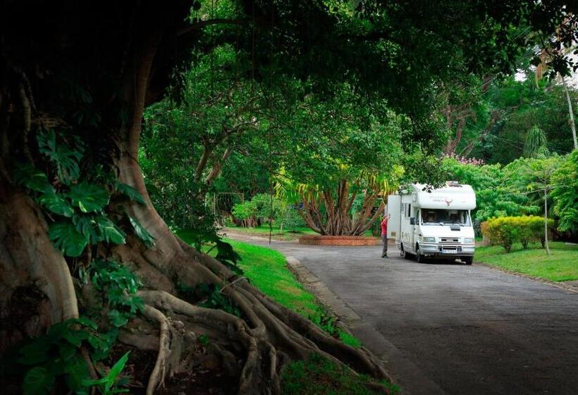 Airport Costa Rica B&b