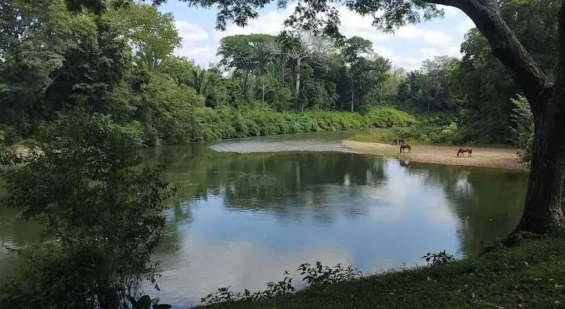 Hotelli Warriehead Resort