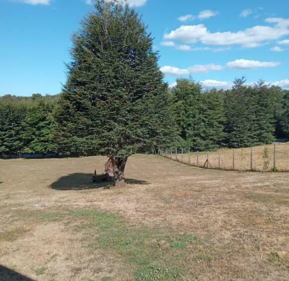 住宿加早餐  Hostal Parcela 47 Villarrica