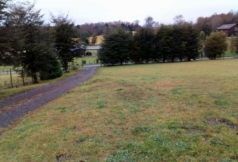 住宿加早餐  Hostal Parcela 47 Villarrica