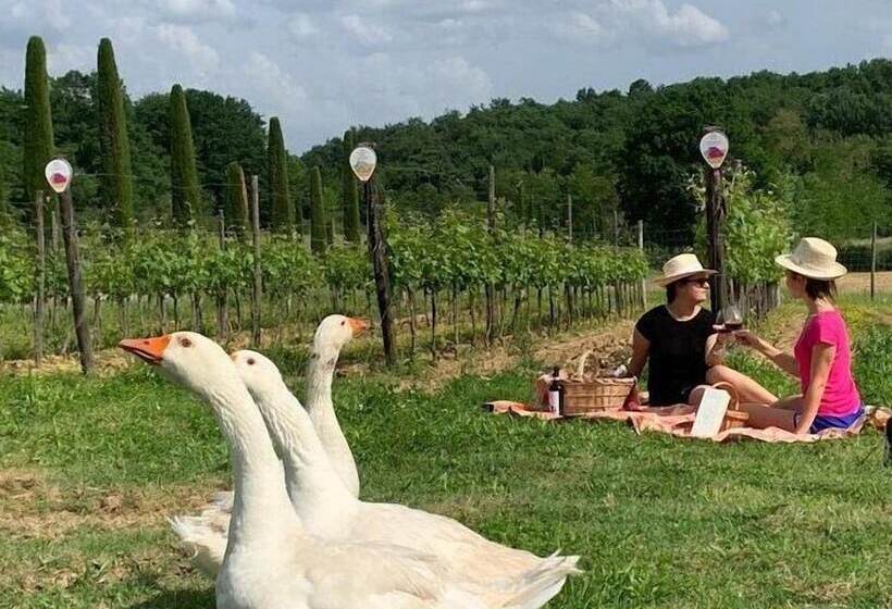 בית מלון כפרי Palagina La Cascina