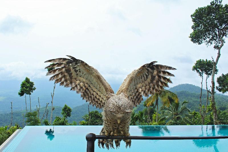 Aarunya Nature Resort And Spa