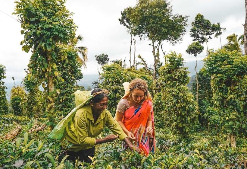 Aarunya Nature Resort And Spa