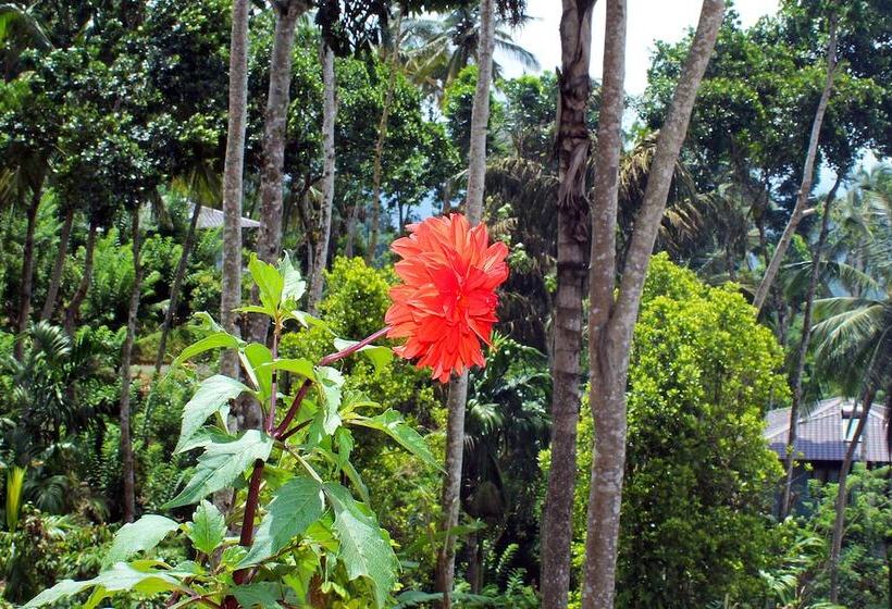 Aarunya Nature Resort And Spa