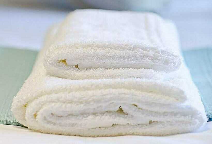 پانسیون Cavallo Guesthouse