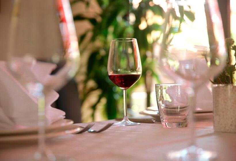 Domus Hotel & Apartments