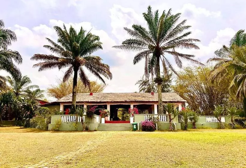 هتل African Queen Lodge