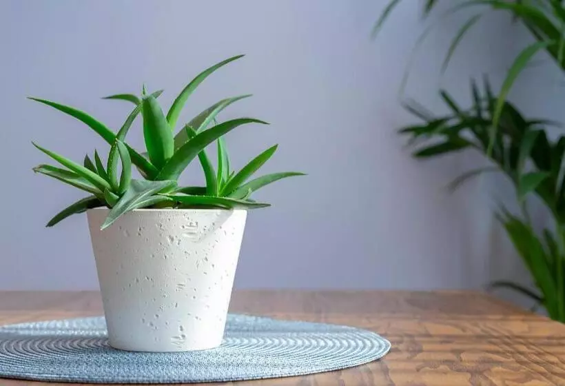 Hotelli Apartua кропивницький