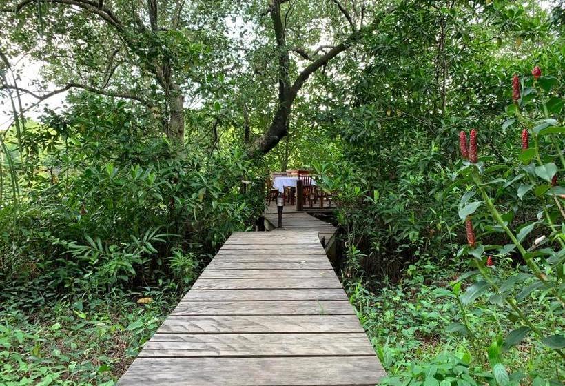 אתר נופש Mei Hao Deng