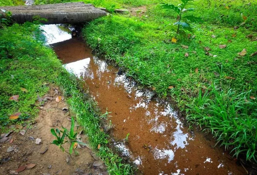 Hotelli Kithmi Resort