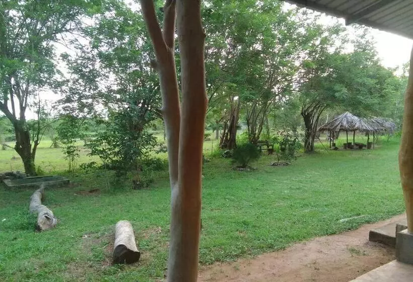 مُتل Wilpattu Buma