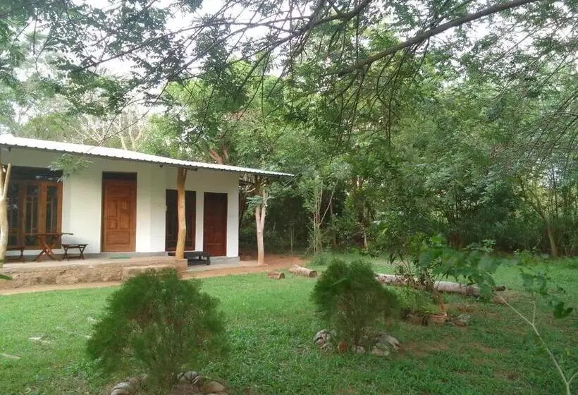 مُتل Wilpattu Buma