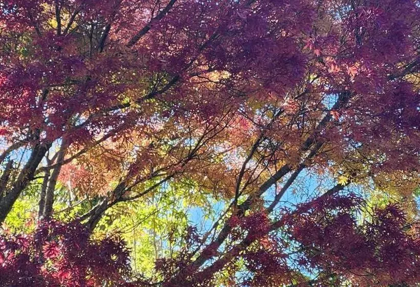 Majatalo Boutique Art Retreat