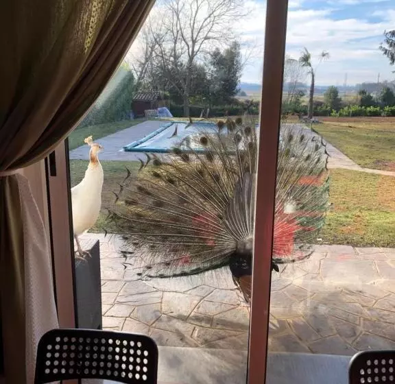 Aamiaismajoitus (B&B) Ai 4 Soli