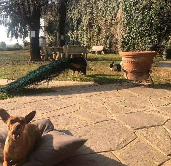 Aamiaismajoitus (B&B) Ai 4 Soli