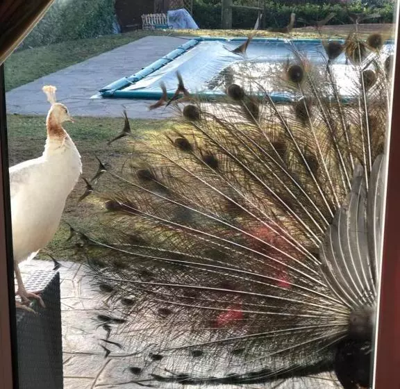 Aamiaismajoitus (B&B) Ai 4 Soli