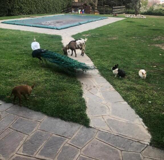 Bed and Breakfast Ai 4 Soli