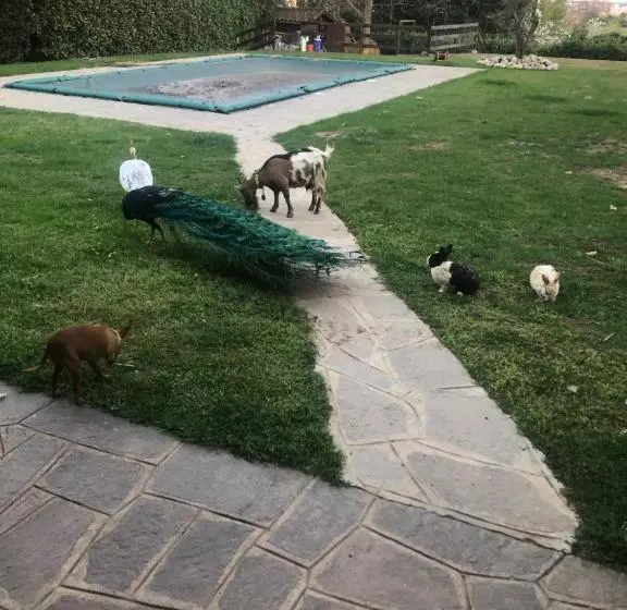 Aamiaismajoitus (B&B) Ai 4 Soli