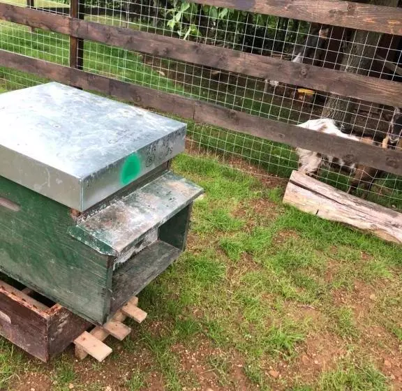 Aamiaismajoitus (B&B) Ai 4 Soli