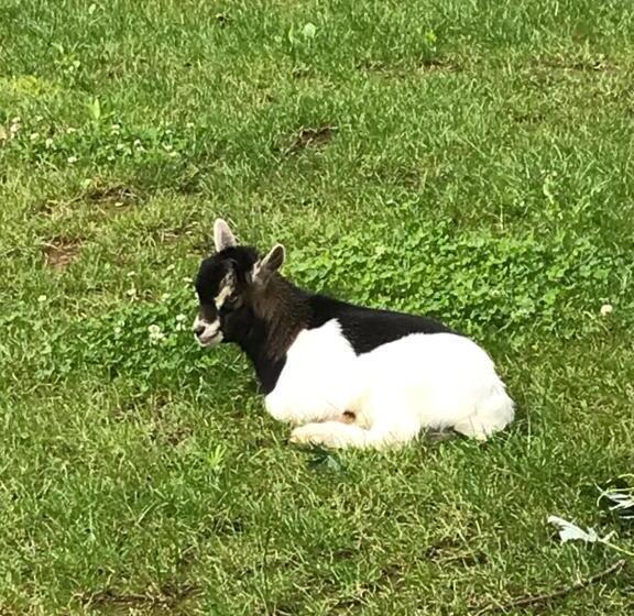 Bed and Breakfast Ai 4 Soli