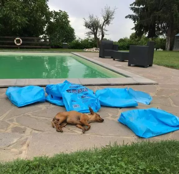 Aamiaismajoitus (B&B) Ai 4 Soli