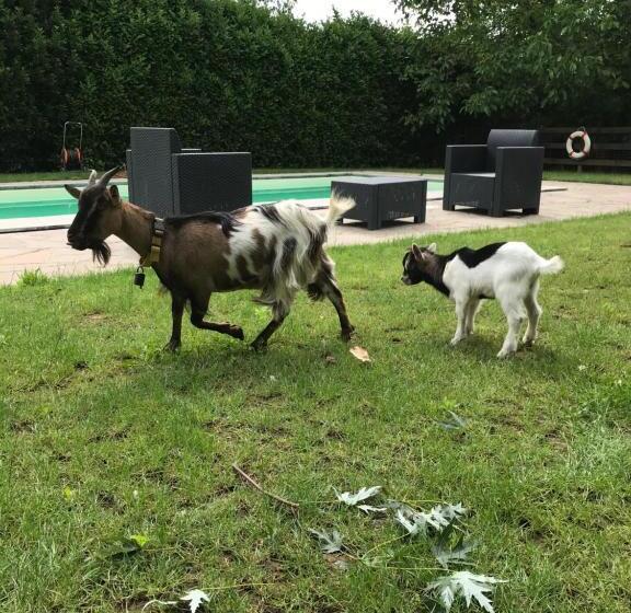 Bed and Breakfast Ai 4 Soli