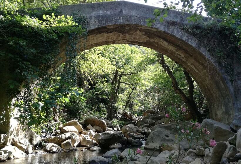 Hostel Puerto Algeciras