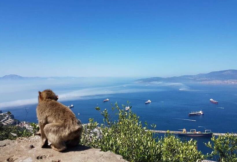 Hostel Puerto Algeciras