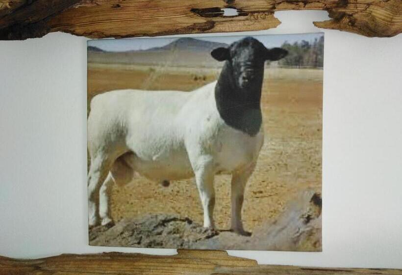 پانسیون Die Windpomp Guesthouse