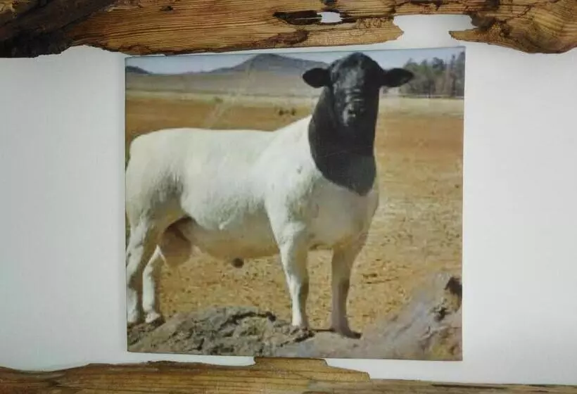 پانسیون Die Windpomp Guesthouse