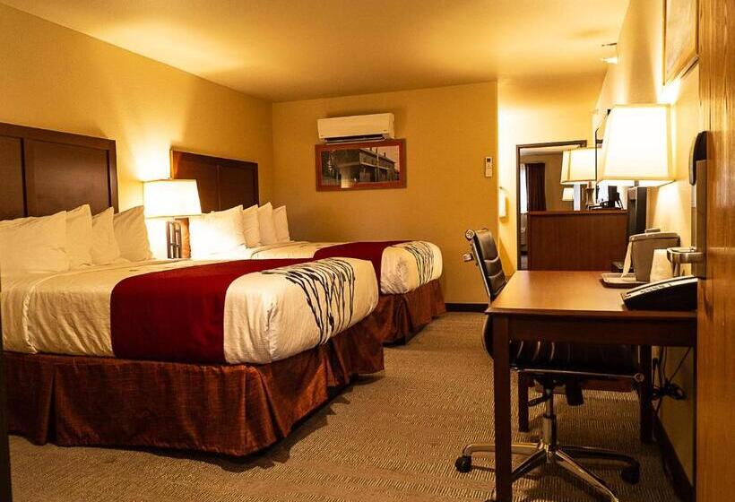 فندق Newcastle Lodge & Convention Center