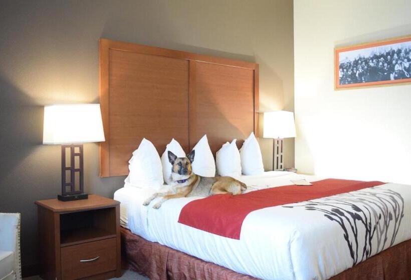 فندق Newcastle Lodge & Convention Center