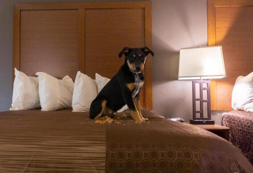 فندق Newcastle Lodge & Convention Center