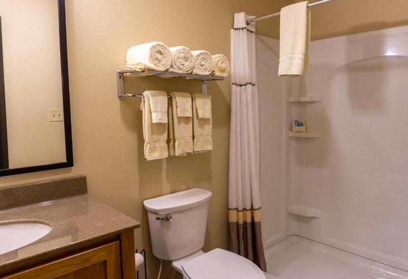 فندق Newcastle Lodge & Convention Center