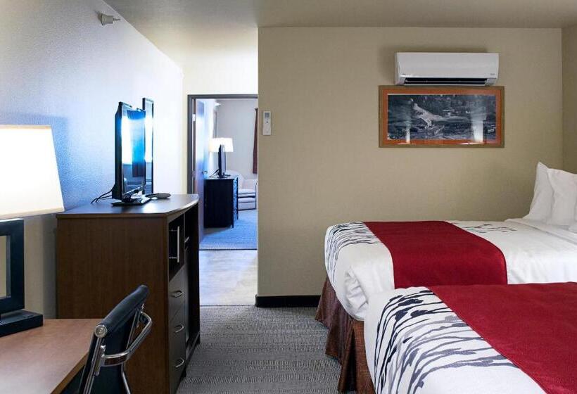 فندق Newcastle Lodge & Convention Center