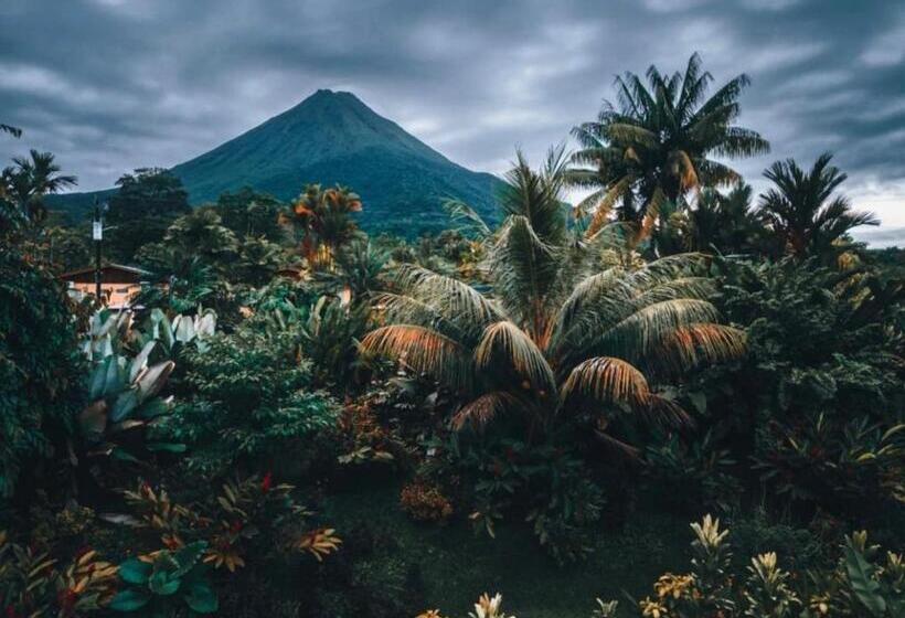 بنسيون Villa Tucan