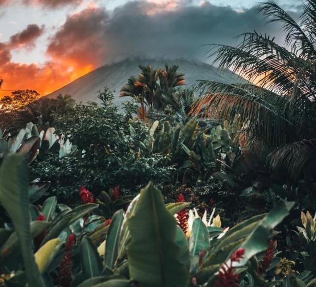 بنسيون Villa Tucan