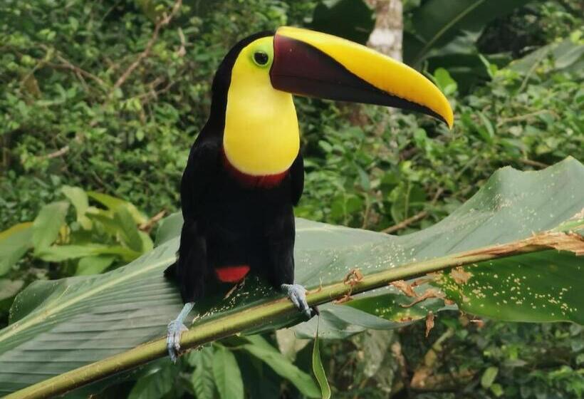 بنسيون Villa Tucan