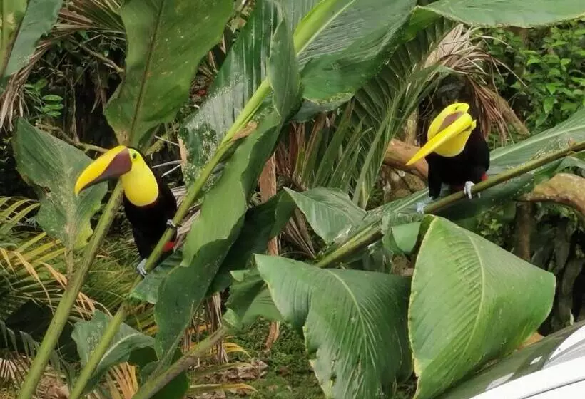 Majatalo Villa Tucan