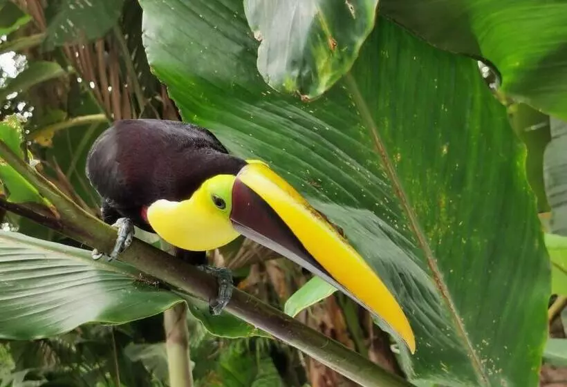 Majatalo Villa Tucan