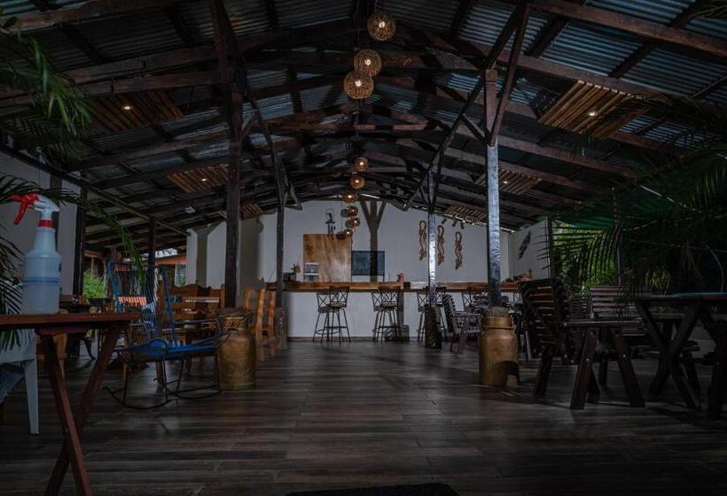 بنسيون Villa Tucan