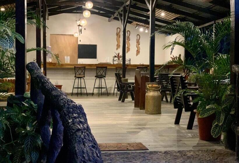 بنسيون Villa Tucan