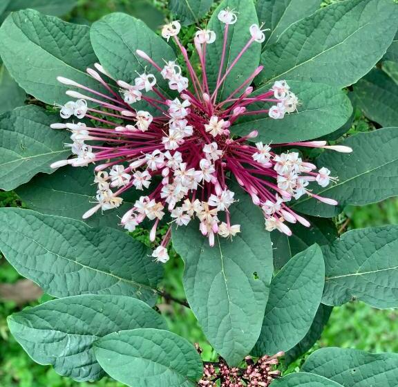 بنسيون Villa Tucan