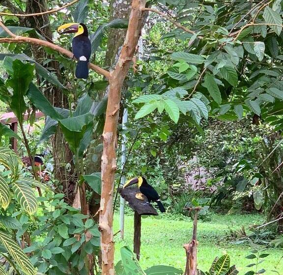 بنسيون Villa Tucan