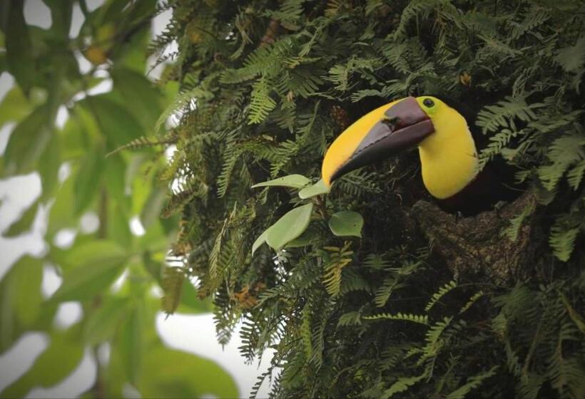 بنسيون Villa Tucan